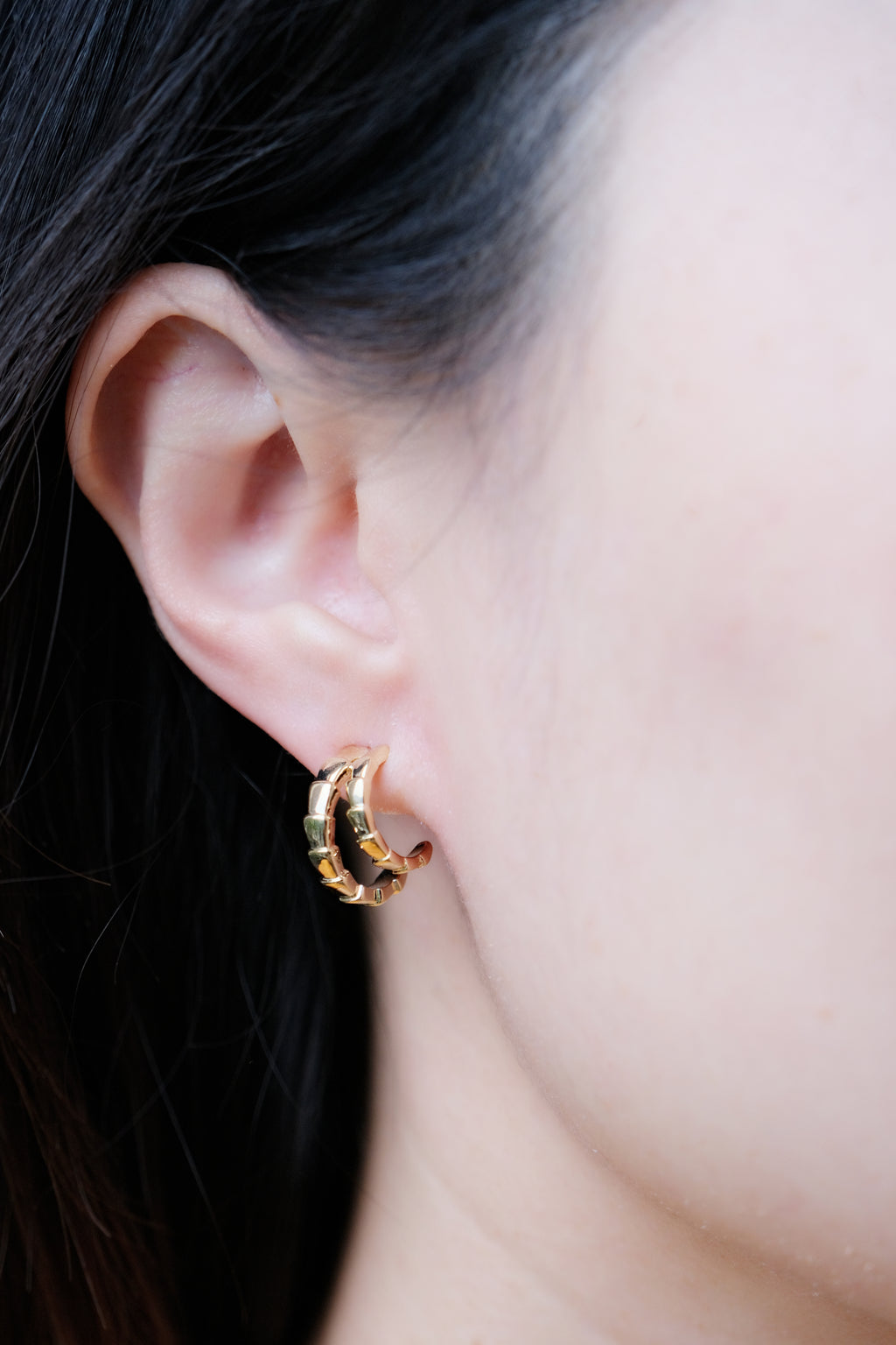 Double Texture Hoops