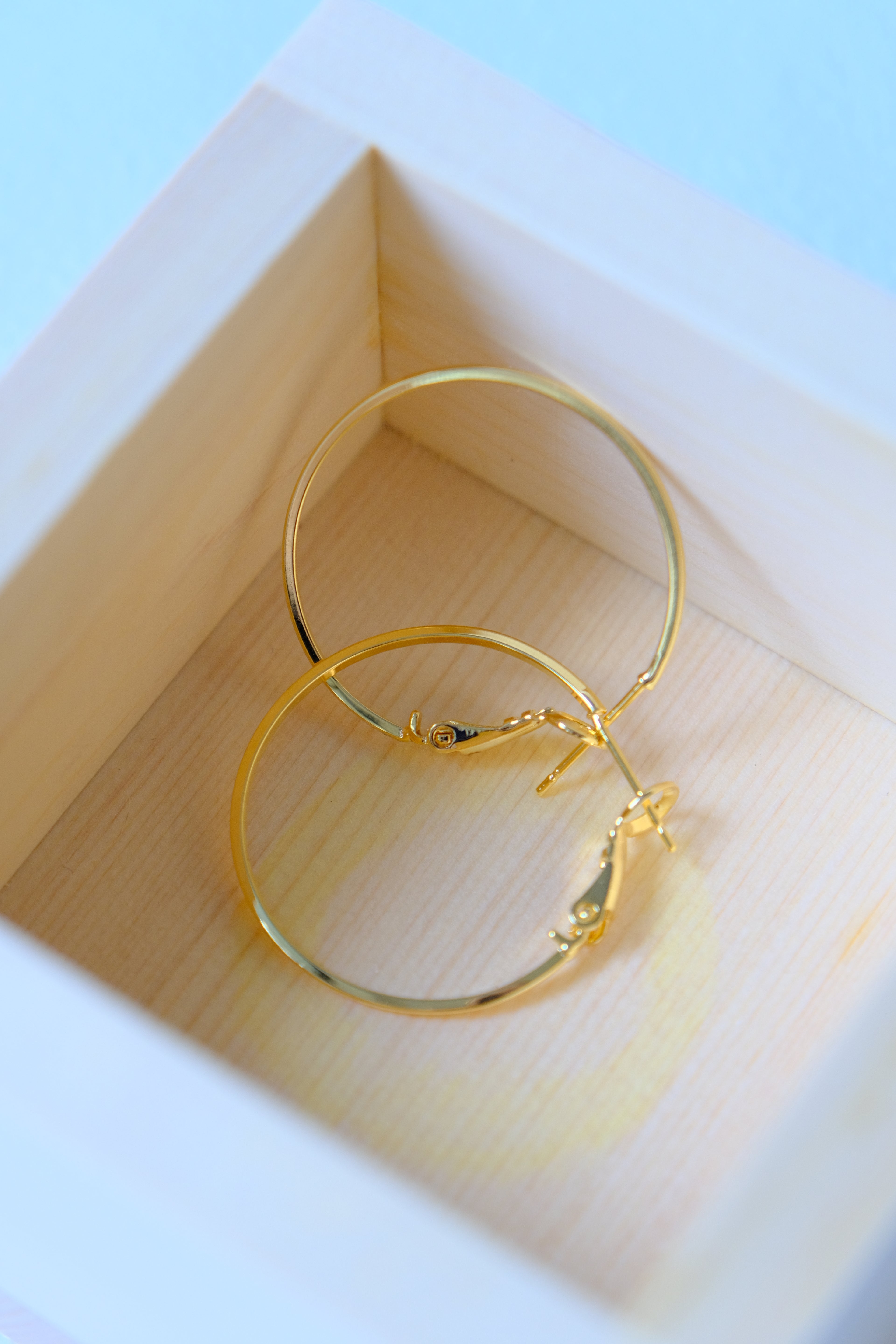 The Everyday Luxe Hoop